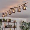 Gastor ceiling light, globe light chrome, Smoke-coloured, 6-light sources