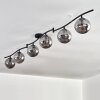 Gastor ceiling light, globe light chrome, Smoke-coloured, 6-light sources