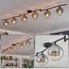 Gastor ceiling light, globe light chrome, clear, Smoke-coloured, 6-light sources