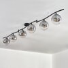 Gastor ceiling light, globe light chrome, clear, Smoke-coloured, 6-light sources