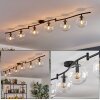 Gastor ceiling light, globe light clear, 6-light sources