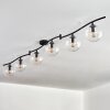 Gastor ceiling light, globe light clear, 6-light sources