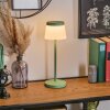 Algeraz Outdoor table lamp, table lamp LED green, 1-light source