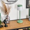 Algeraz Outdoor table lamp, table lamp LED green, 1-light source