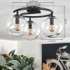 Gastor ceiling light, globe light clear, 3-light sources