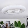 Benesal ceiling light, Ceiling fan light LED white, 1-light source, Remote control