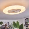 Benesal ceiling light, Ceiling fan light LED white, 1-light source, Remote control