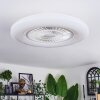 Benesal ceiling light, Ceiling fan light LED white, 1-light source, Remote control