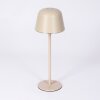 Asen Outdoor table lamp, table lamp LED beige, 1-light source