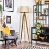 Sabadim floor lamp Ecru, black, 1-light source