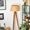 Cavaca floor lamp Ecru, black, 1-light source