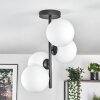 Gastor ceiling light, globe light transparent, 4-light sources