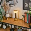 Gallboda table lamp LED brass, 1-light source