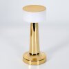 Gallboda table lamp LED brass, 1-light source