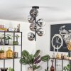 Gastor ceiling light, globe light chrome, Smoke-coloured, 6-light sources