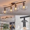 Gastor ceiling light, globe light clear, 4-light sources