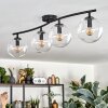 Gastor ceiling light, globe light clear, 4-light sources