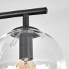 Gastor ceiling light, globe light clear, 4-light sources