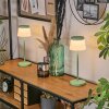 Algeraz Outdoor table lamp, table lamp LED green, 1-light source