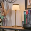 Algeraz Outdoor table lamp, table lamp LED beige, 1-light source