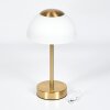 Rands table lamp LED brass, 1-light source