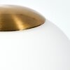 Rands table lamp LED brass, 1-light source