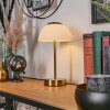 Rands table lamp LED brass, 1-light source