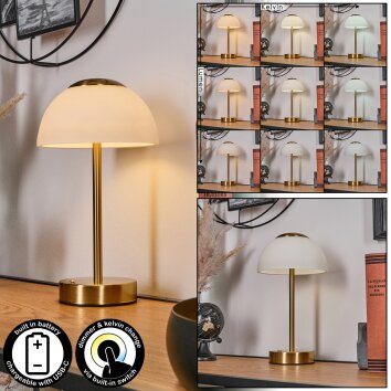 Rands table lamp LED brass, 1-light source