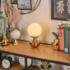 Lakolk table lamp LED brass, 1-light source