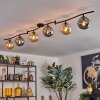 Gastor ceiling light, globe light Amber, Smoke-coloured, 6-light sources