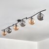 Gastor ceiling light, globe light Amber, Smoke-coloured, 6-light sources