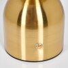 Yngered table lamp LED brass, 1-light source