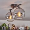 Gastor ceiling light, globe light clear, Smoke-coloured, 2-light sources