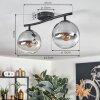 Gastor ceiling light, globe light clear, Smoke-coloured, 2-light sources