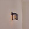 Trancozelos outdoor wall light black, 1-light source