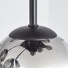 Chehalis ceiling light, globe light clear, Smoke-coloured, 9-light sources