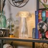 Mushroom Lamp  Balsa table lamp LED transparent, clear, 1-light source