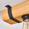 Skads ceiling light, ceiling spotlight Ecru, black, 2-light sources