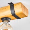 Skads ceiling light Ecru, black, 3-light sources