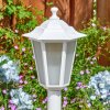 Loria path light white, 1-light source