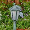 Loria path light green, black, 1-light source