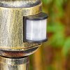 Loria outdoor light, path light brown, gold, black, 1-light source, Motion sensor