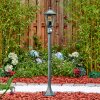 Loria outdoor light, path light green, black, 1-light source, Motion sensor