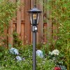 Loria outdoor light, path light black, 1-light source, Motion sensor