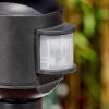 Etoe outdoor light, path light black, 1-light source, Motion sensor