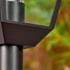 Anfei outdoor light, path light black, 1-light source