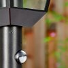 Anfei outdoor light, path light black, 1-light source, Motion sensor