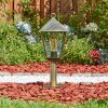 Anfei outdoor light, pedestal light, path light brown, gold, 1-light source