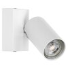 Ledvance Lights Spot ceiling light LED white, 1-light source