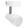 Ledvance Lights Spot ceiling light LED white, 1-light source